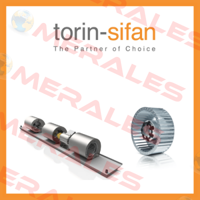 Torin-Sifan