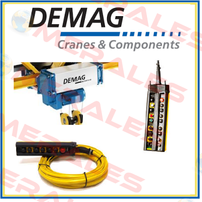 RU11DC-Pro2-250-1/1H5V8/2-380-415/50-200  Demag