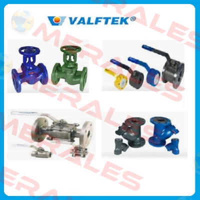 3" MONITOR MOUNTING FLANGE PN16 Valftek