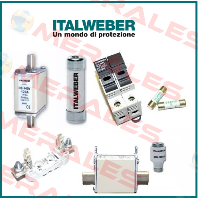 0107025  Italweber