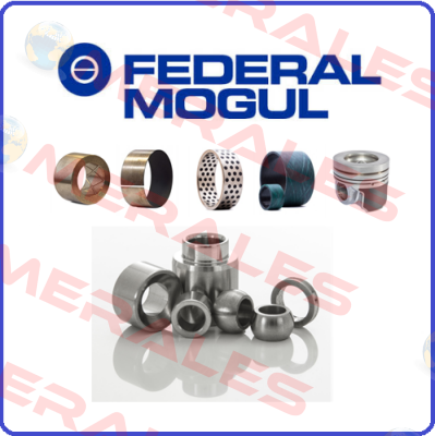 714295 STD  Federal Mogul