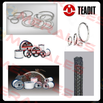 24SH DN25 PN10/16 Teadit