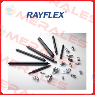 588.539    Rayflex