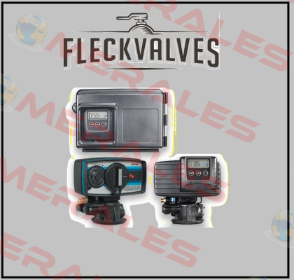  3900   Fleck Valves