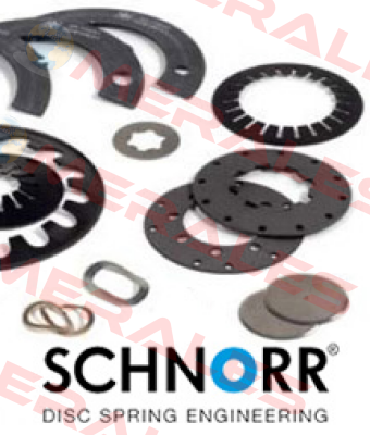 700059 clamping disk Schnorr