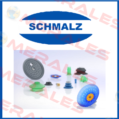 10.02.02.00600/3 Schmalz