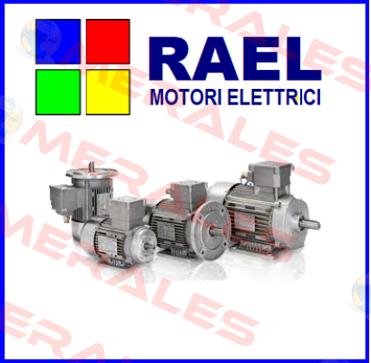 Typ RL 63 B4 B3T  RAEL MOTORI ELETTRICI