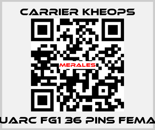 Fluarc FG1 36 Pins Female Carrier Kheops