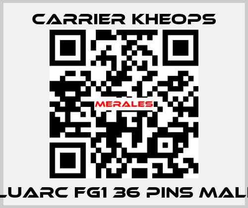 Fluarc FG1 36 Pins Male  Carrier Kheops