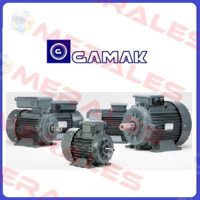 AGM 132S/4 IE2 B3 220V with brake  Gamak