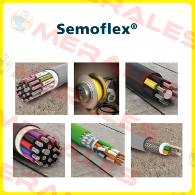 PG29/2M25  Semoflex