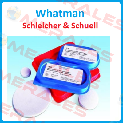 AE100 Schleicher Schuell (Whatman)