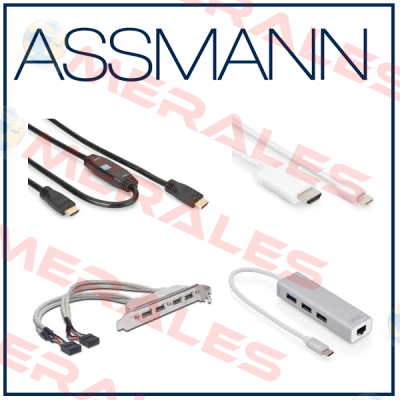 RJ45  Assmann