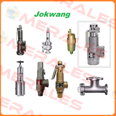 FF100-C-3/4"D1"-A11-212-CN2 9,1BARG  Jokwang