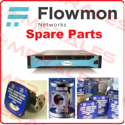 FMM-35-AL-LP-3EE-1CS-24W150-SI-D2  Flow-Mon