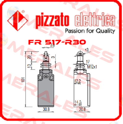 FR 517-R30 Pizzato Elettrica