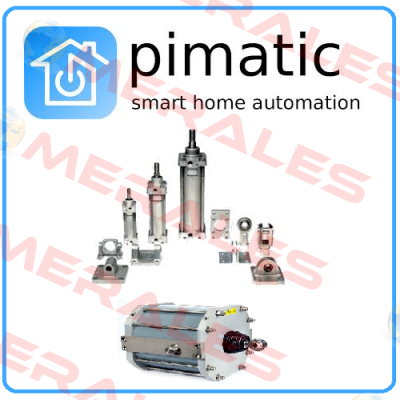 FS-0031174 FOR CYLINDER PIC-80  Pimatic