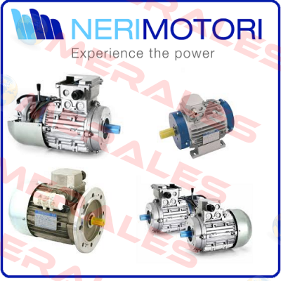 Brake assy for 11005785009  Neri Motori