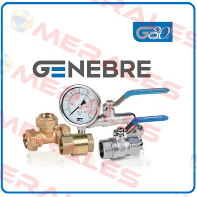 2954 09 (pack x10) Genebre