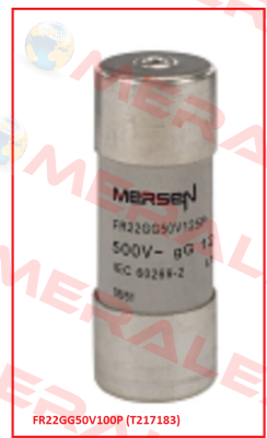 FR22GG50V100P (T217183) Mersen