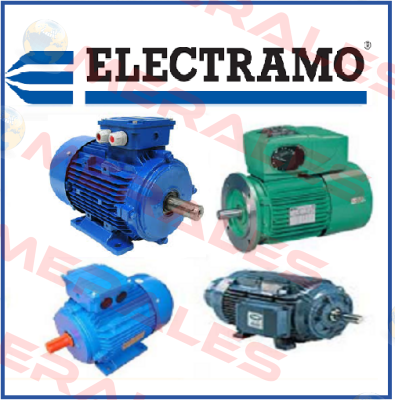 3S015.00D4F2 Electramo