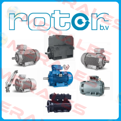 6RN112M02E32U46 1081 Rotor