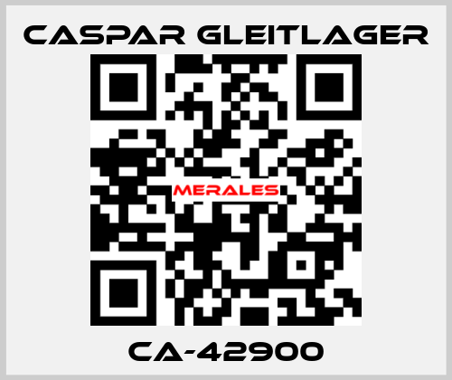 CA-42900 Caspar Gleitlager