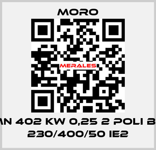 MN 402 KW 0,25 2 POLI B5 230/400/50 IE2 Moro