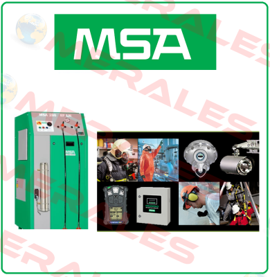 Type: H2S Msa