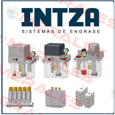 H532A/030040 Intza