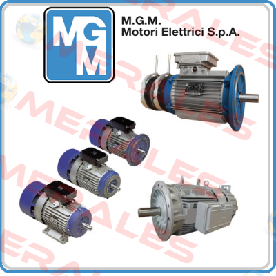 BA 160 LA4 (BA160LA4-B5-400/690V) M.G.M MOTORI