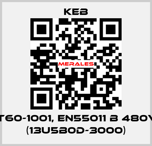 13E5T60-1001, EN55011 B 480V/16A (13U5B0D-3000) KEB