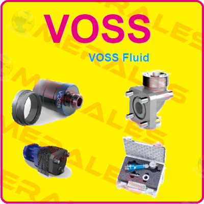 6030000733 Voss