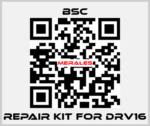 repair kit for DRV16 BSC