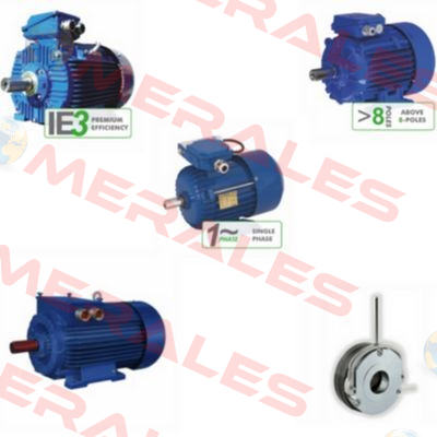 DS-Motor 2SIEK 80 X-2C Cantoni