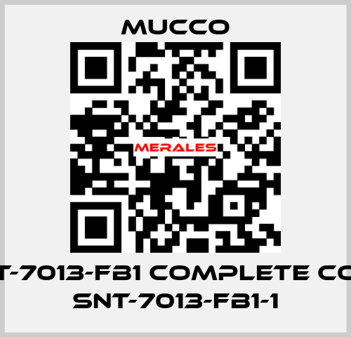 SNT-7013-FB1 complete code SNT-7013-FB1-1 mucco