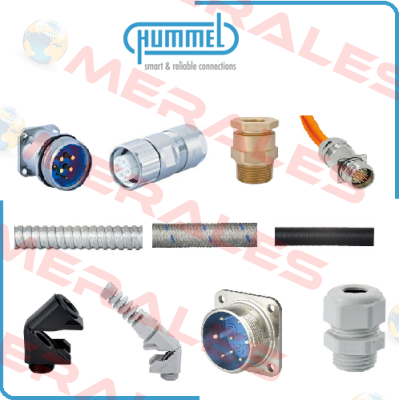 1.689.3400.70 / CD21NS-EB1 Hummel