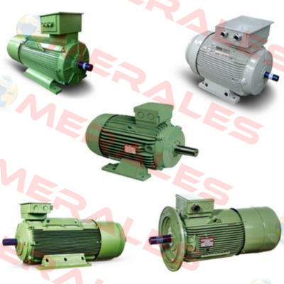 AC MOTOR 1HM-1 280 S4 Fimet