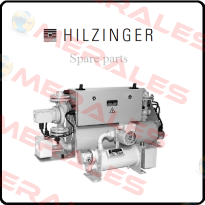 BTM0063  Hilzinger