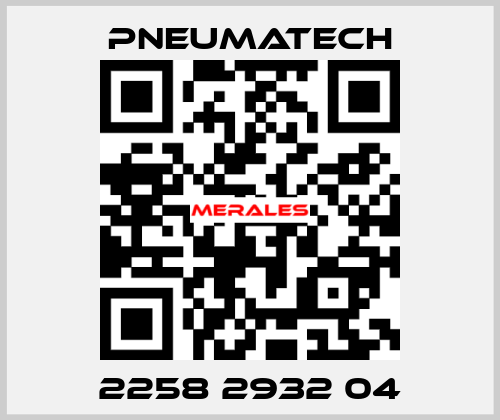 2258 2932 04 Pneumatech