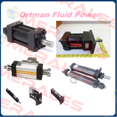 SEAL KIT FOR S/N 1290542-10-1  Ortman Fluid Power