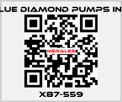 X87-559 Blue Diamond Pumps Inc.