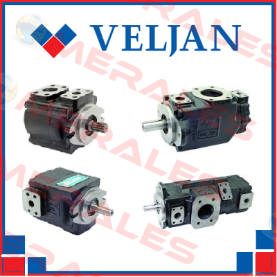 P2  cartridge rebuilt kit Veljan