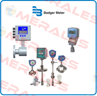 EPM-3 RF 2.4GHZ Badger Meter