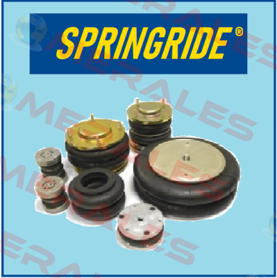 SP1159 Springride