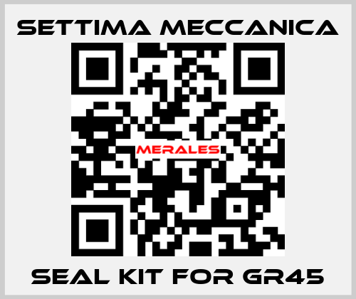 Seal kit for GR45 Settima Meccanica