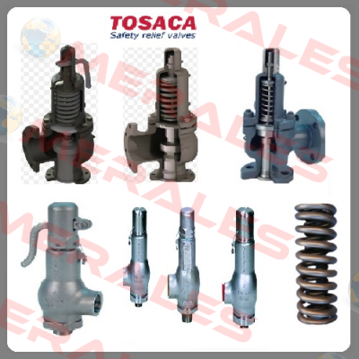 1400-40X65CS-40-M-01000-30,0G20  Tosaca