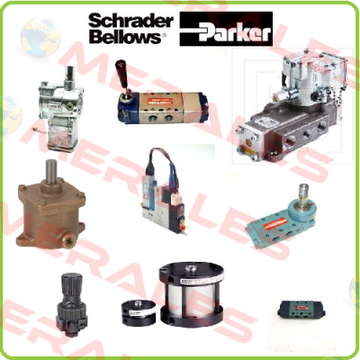 1HPH0A00252621 Schrader Bellows (Parker)