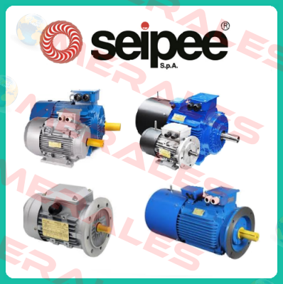 IE3 - GM 160 MB 2 / B3 SEIPEE