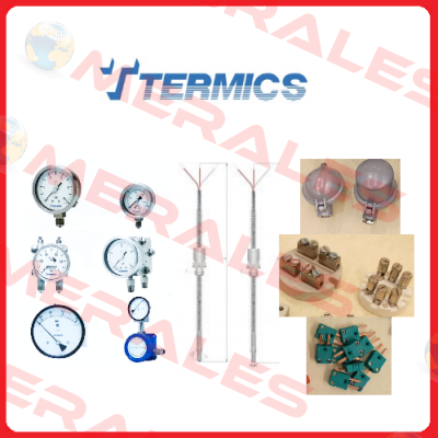 TS-RTD-R01-40 Termics